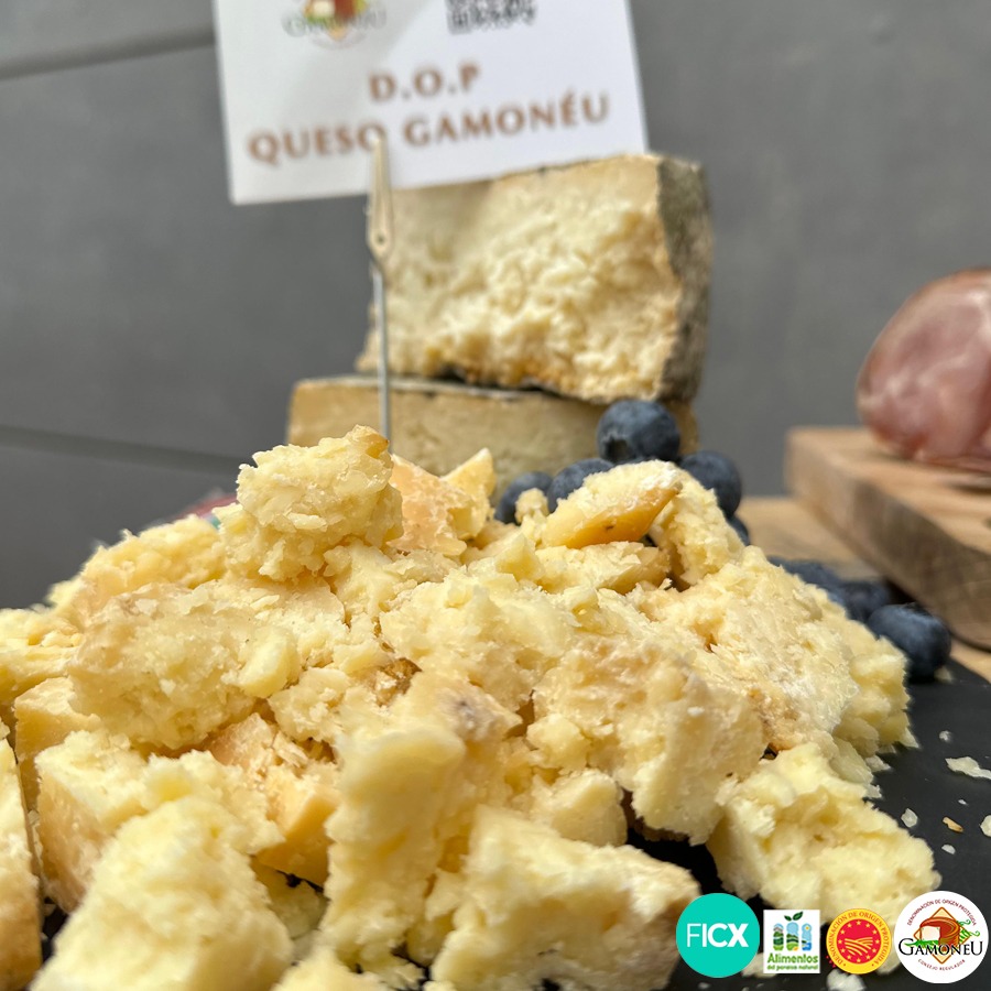 Queso Gamonéu expuesto para degustación