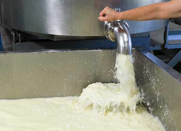 leche cayendo en la cuba después de ser recepcionada